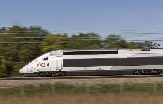 Finistère : Un adolescent de 15 ans meurt percuté par un TGV