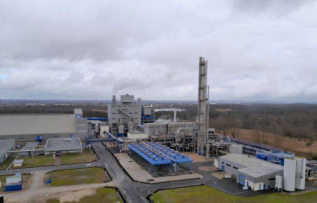 Bordeaux : Quatorze blessés, dont deux graves, après une fuite d’ammoniaque liquide dans une usine Seveso