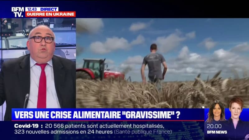 Faut-il s’inquiéter d’une crise alimentaire “gravissime” comme le laisse entendre Jean-Yves Le Drian ?