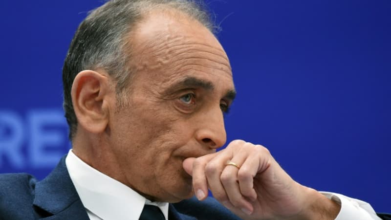Deux sympathisants de Zemmour condamnés après des vidéos simulant des tirs sur Macron et les Insoumis