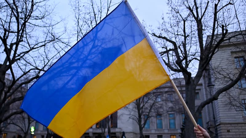 Que signifierait une “neutralité” de l’Ukraine? Les exemples suédois, autrichien et suisse