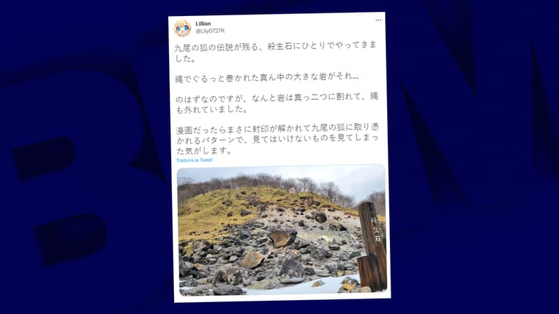 Japon: une pierre légendaire censée contenir un esprit démoniaque se brise en deux