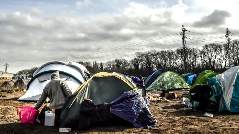 Calais: deux sénateurs appellent à étendre la protection temporaire au-delà des Ukrainiens