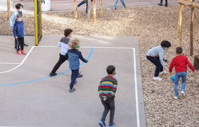 Nice : Des élèves retrouvent de la mort-aux-rats dans la cour de leur école