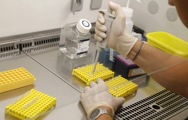 Nord : Le corps d’une femme identifié 4 mois après sa disparition