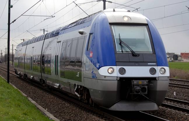 Pyrénées-Atlantiques : Un TER percute leur voiture de plein fouet, ils ressortent indemnes