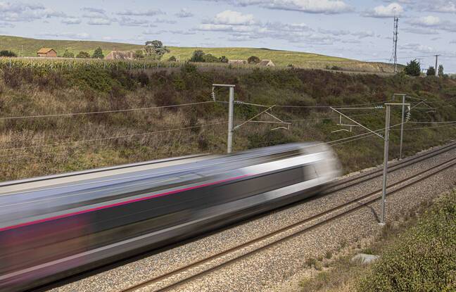 Val-de-Marne : Un homme meurt percuté par un TGV dans une gare, le trafic fortement perturbé