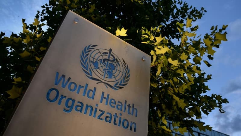 Guerre en Ukraine: l’OMS a recensé plus de 100 attaques contre des services de santé