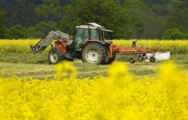 Côtes-d’Armor: Un jeune homme de 21 ans décède au volant d’un tracteur