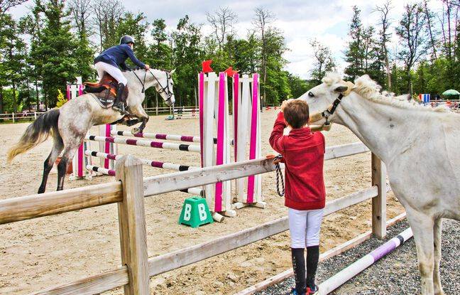 Isère : Une cavalière de 12 ans est décédée en plein concours hippique, après avoir été « piétinée par son cheval »