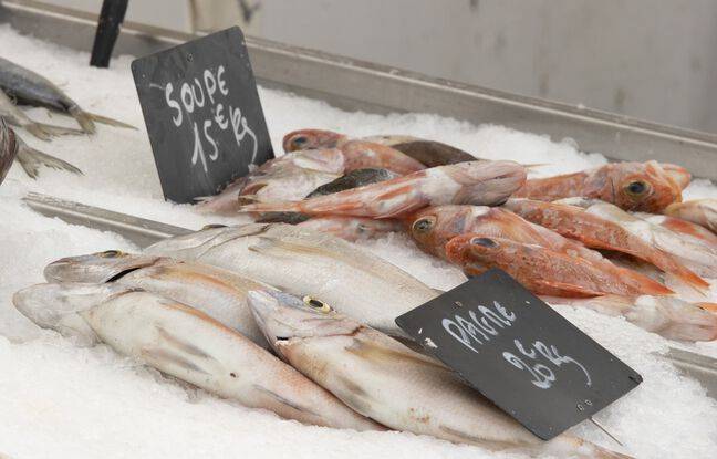 Villeurbanne : Une poissonnière gravement blessée par un automobiliste alors qu’elle s’installait sur le marché
