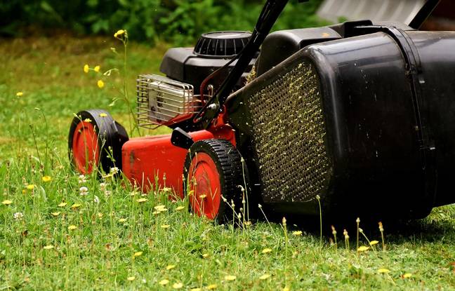 Seine-et-Marne : Il ne supporte plus le bruit de la tondeuse et tire sur le paysagiste