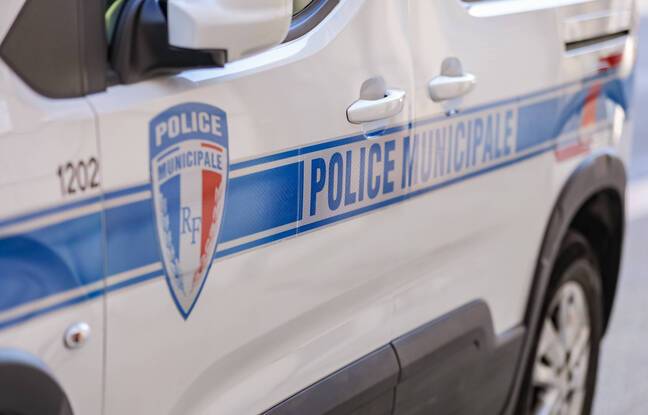 Saint-Denis : Deux policiers municipaux agressés après avoir verbalisé un guetteur