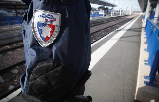 Toulouse : Un passager en agresse violemment un autre, sans raison, dans un train