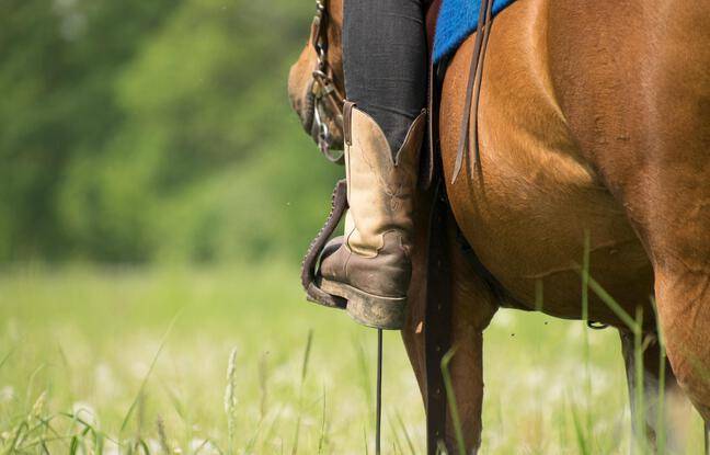 Charente-Maritime : Près de Royan, une fillette de 9 ans meurt après un accident de poney