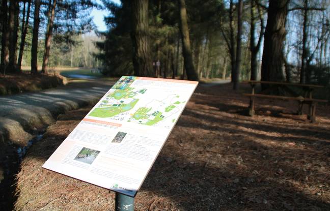 Rennes : Un homme de 31 ans poignardé à mort dans un parc