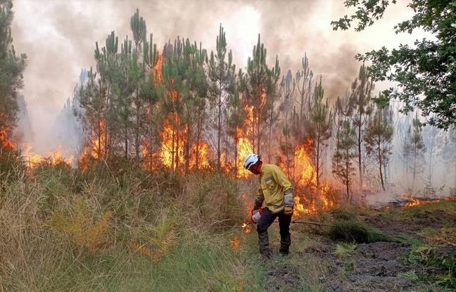 Incendies en Gironde : Les feux ont très peu progressé cette nuit
