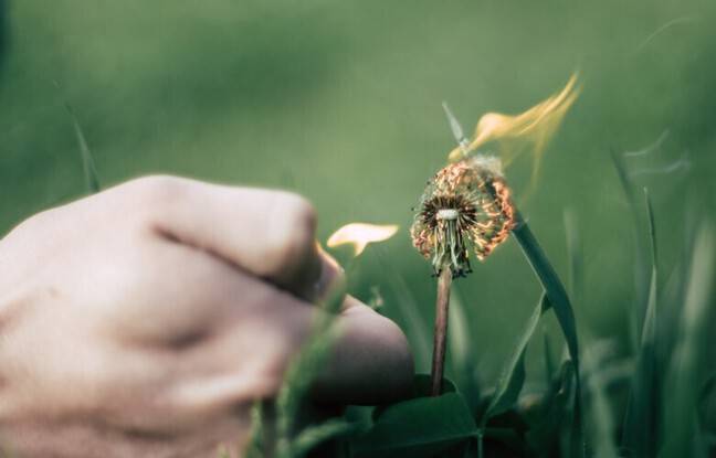 Lot : Le livreur pyromane a allumé une vingtaine d’incendies au gré de ses tournées
