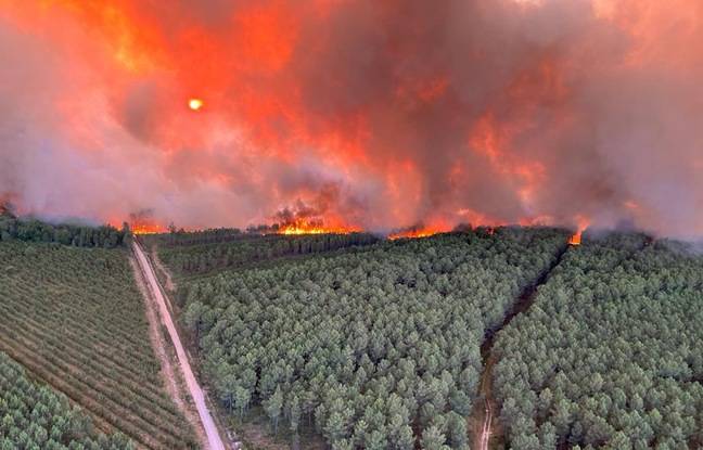 Gironde : Ce que l’on sait sur les incendies qui ont déjà ravagé plus de 1.200 hectares de forêts
