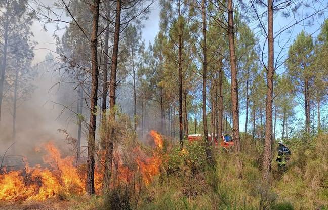 Gironde : Devant la gravité des incendies en cours, Gérald Darmanin annonce sa visite