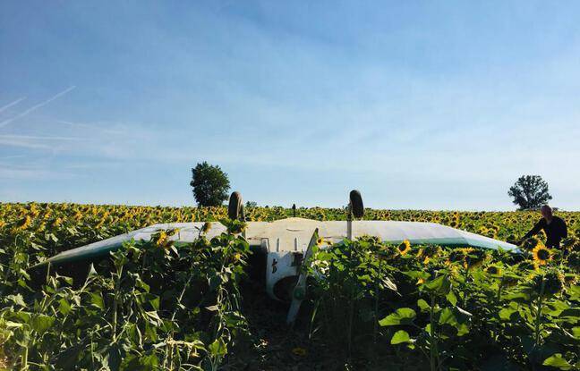 Haute-Garonne : L’avion atterrit en urgence (à l’envers) dans un champ de tournesol, le pilote indemne
