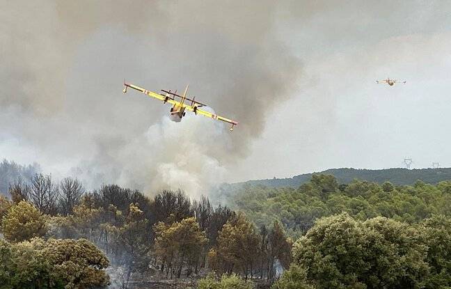Incendie dans l’Hérault : Plus de 500 hectares de forêt ont déjà brûlé, 500 pompiers mobilisés