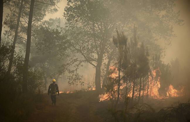 Incendies en Gironde : Le suspect de 39 ans arrêté avait déjà été inquiété pour un incendie