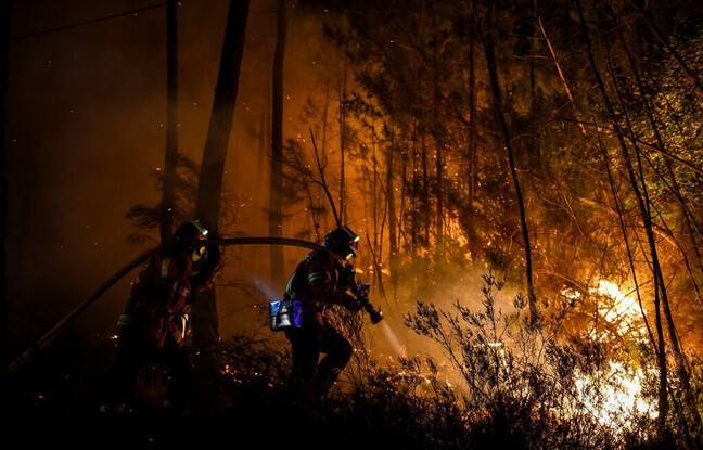 Gard : Un incendie ravage 40 hectares à Vallabrix