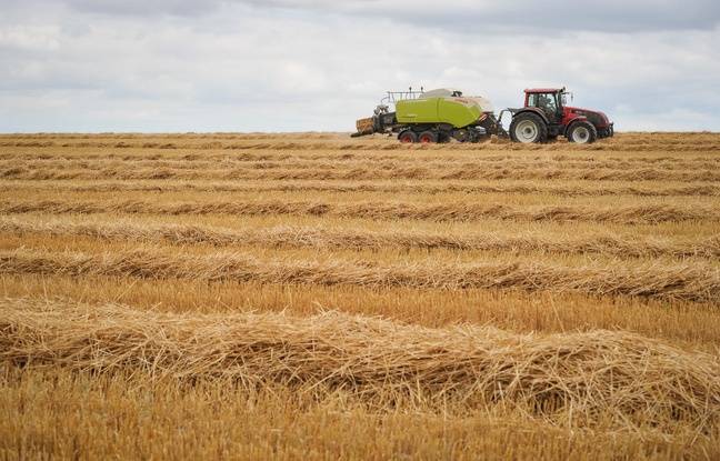 Maine-et-Loire : Un garçon de 5 ans meurt happé par une machine agricole