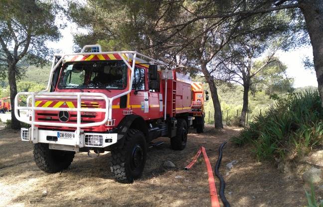 Drôme : Deux incendies détruisent 10 hectares de végétation en une nuit