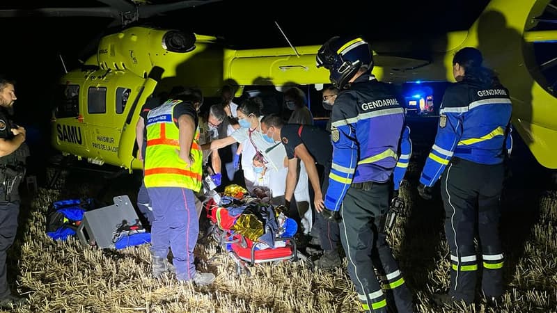 Bousculade de poneys en Ille-et-Vilaine: les blessures des enfants dues à “des coups de sabots”