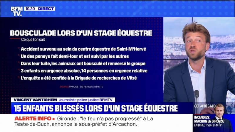Ille-et-Vilaine: ce que l’on sait de la bousculade avec des poneys qui a fait 17 blessés à Saint-M’Hervé