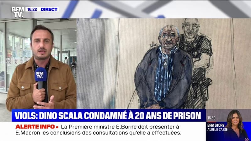 “Violeur de la Sambre”: Dino Scala condamné à 20 ans de prison, la peine maximale