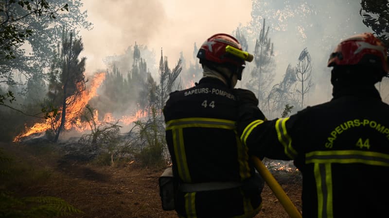 Incendie de Landiras: ce que l’on sait du profil du suspect placé en garde à vue