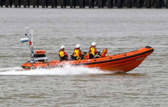 Angleterre : Un requin bleu serait à l’origine des blessures d’un plongeur