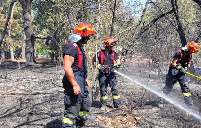 Pyrénées-Atlantiques : Un pyromane interpellé et placé en hôpital psychiatrique