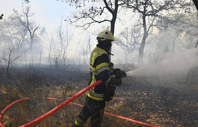 Haute-Corse : Un incendie parcourt « 450 hectares », pas d’habitation menacée