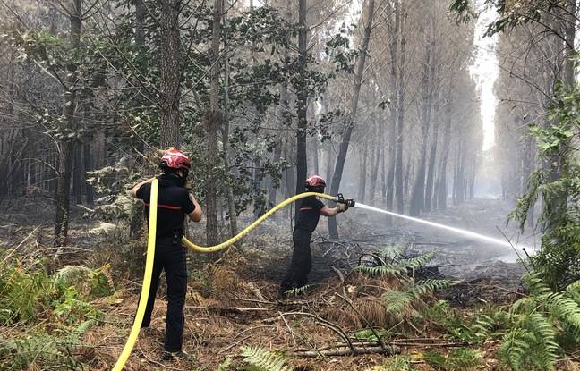 Bas-Rhin : Violent feu de forêt en Alsace, six hectares déjà partis en fumée