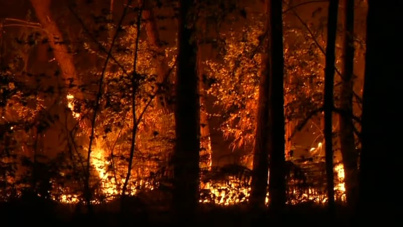 Bretagne: les incendies dans le Morbihan fixés, 75 hectares brûlés