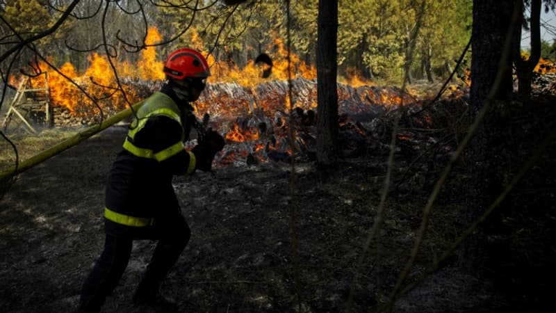Hérault: un ex-pompier volontaire écroué pour incendies volontaires