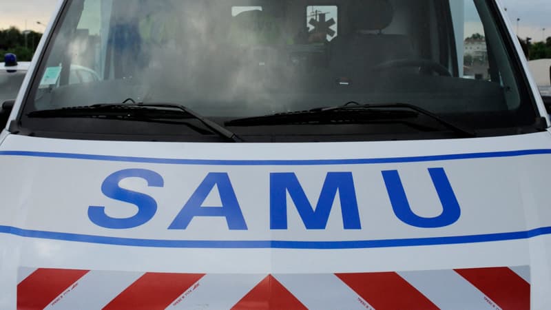 Deux-Sèvres: une cavalière succombe à ses blessures après avoir été traînée au sol par son cheval