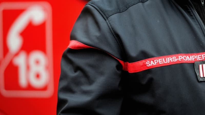 Eure: un homme de 25 ans condamné pour incendie involontaire dans la forêt de Montfort