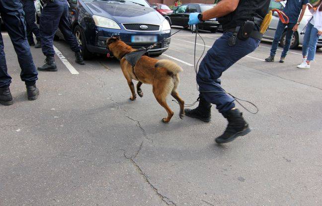 Rennes : Interpellé avec une hache, il frappe le chien des policiers