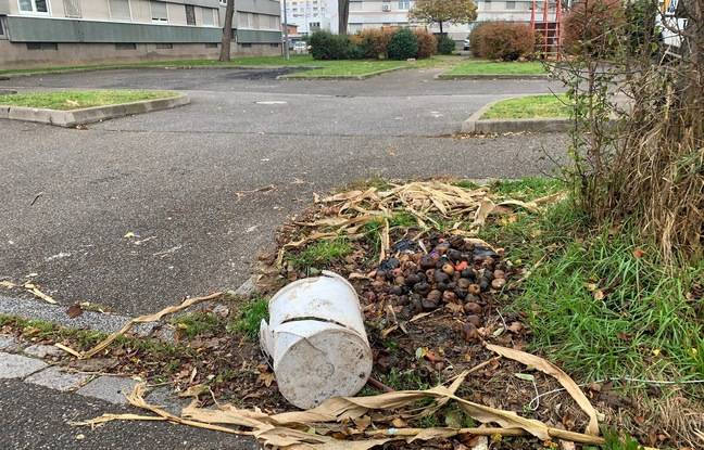 Charleville-Mézières : Un revolver découvert lors d’une collecte de déchets