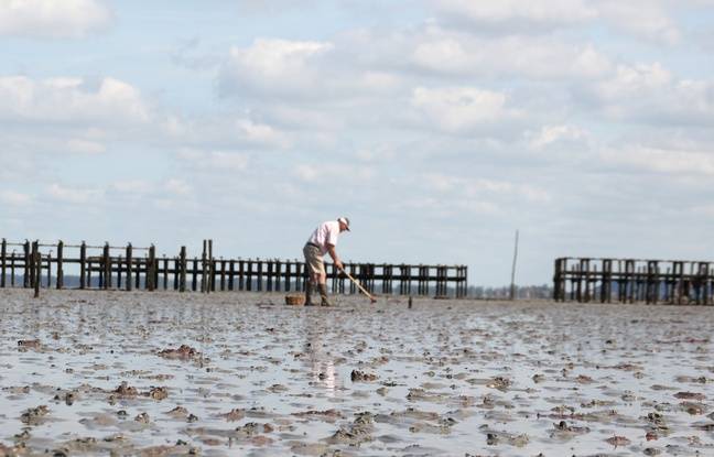 Loire-Atlantique : Deux pêcheurs à pied retrouvés morts