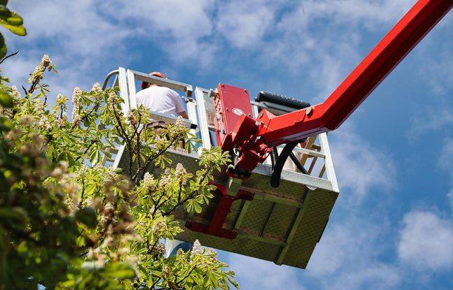Dordogne : Deux chasseurs coincés dans une nacelle à 18 m de haut libérés par les pompiers
