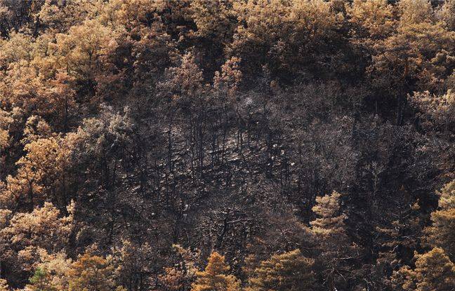 Aveyron : Après avoir ravagé 1.360 hectares de forêt, l’incendie de Mostuéjouls est officiellement éteint