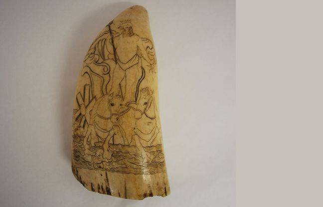 Loire-Atlantique : Qui a volé la dent de cachalot du musée de Guérande ?