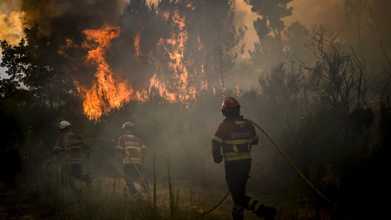 Ariège: 15 mois de prison ferme pour avoir provoqué un incendie