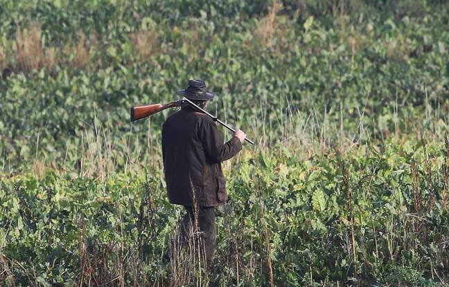 Côtes-d’Armor : La garde à vue du chasseur qui a tué accidentellement sa compagne levée